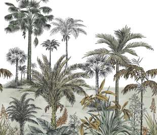 CASADECO_89127605_1_web