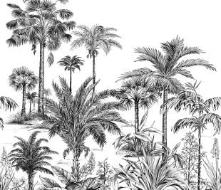 CASADECO_89129305_1_web