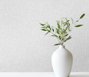 65583_Punto_Avorio_Raumbild_800x800