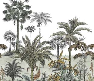 CASADECO_89127603_1_web