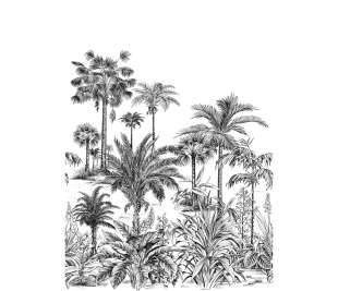 CASADECO_89129303_web