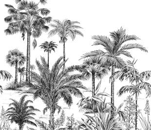 CASADECO_89129303_1_web