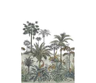 CASADECO_89127604_web