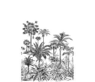 CASADECO_89129304_web