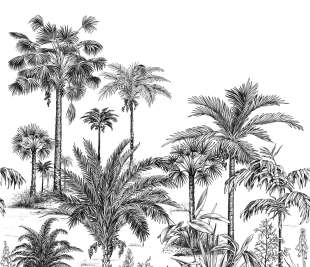 CASADECO_89129304_1_web