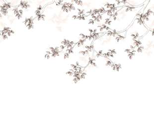 CASADECO_89134107_1_web