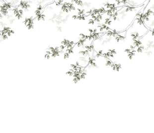 CASADECO_89137507_1_web