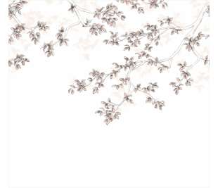 CASADECO_89134108_web