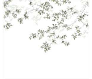 CASADECO_89137508_web