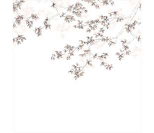 CASADECO_89134109_web