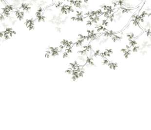 CASADECO_89137509_1_web