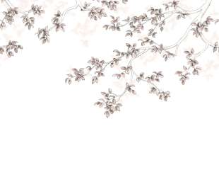 CASADECO_89134109_1_web