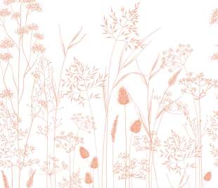 CASADECO_89143605_1_web