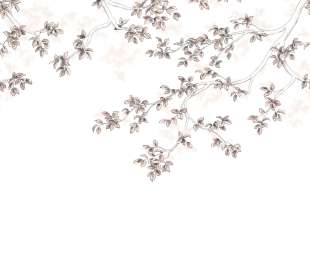 CASADECO_89134108_1_web