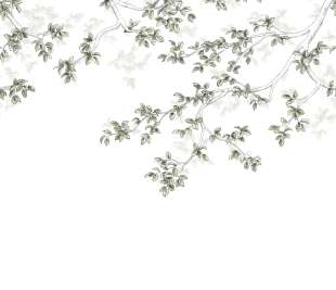 CASADECO_89137508_1_web