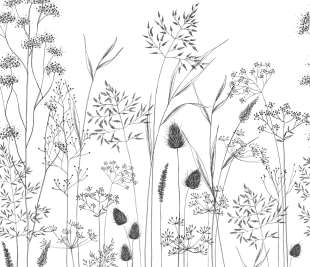 CASADECO_89149405_1_web