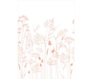 CASADECO_89143603_web