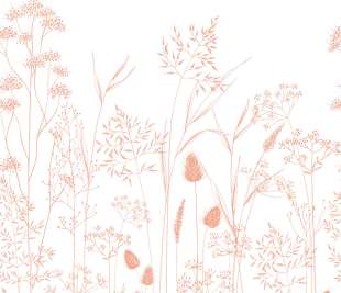 CASADECO_89143603_1_web