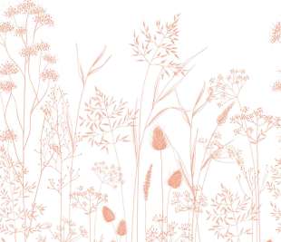 CASADECO_89143604_1_web