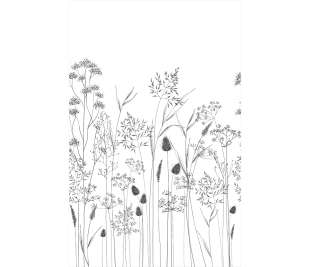 CASADECO_89149404_web