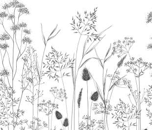 CASADECO_89149404_1_web