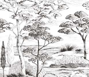 CASADECO_89159005_1_web