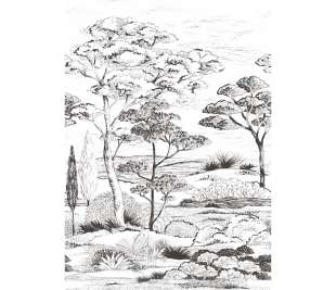 CASADECO_89159003_web