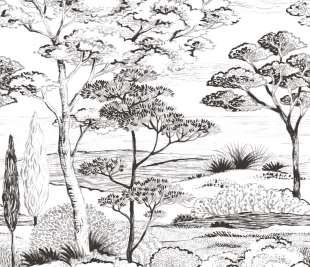 CASADECO_89159003_1_web