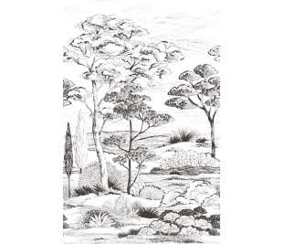 CASADECO_89159004_web