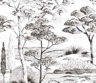 CASADECO_89159004_1_web