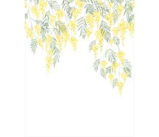 CASADECO_89172205_web