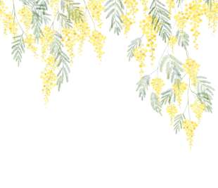 CASADECO_89172205_1_web