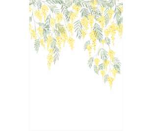 CASADECO_89172203_web