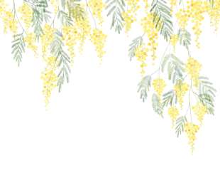 CASADECO_89172203_1_web