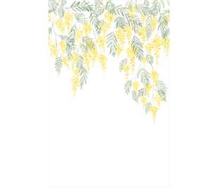 CASADECO_89172204_web