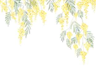 CASADECO_89172204_1_web