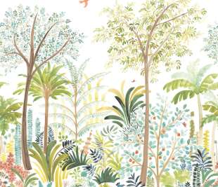 CASADECO_89187405_1_web