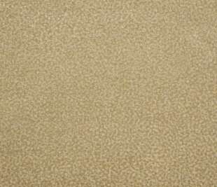 65586_Punto_Giallo_800x800