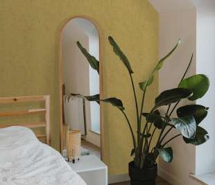 65603_CollageUni_Giallo_Raumbild_800x800