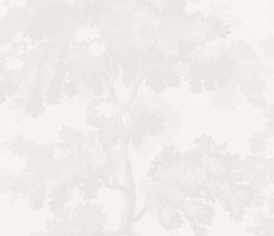 sandberg-sandberg-raphael-white-444-11