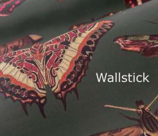 Wallstick
