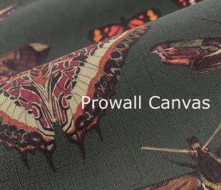 Prowall Canvas