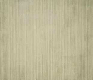 27304_BrushUni_Olive_800x800