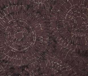 65563_NotreDame_Wine_800x800