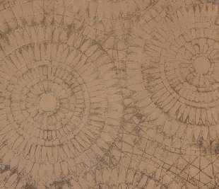 65572_NotreDame_Nude_800x800