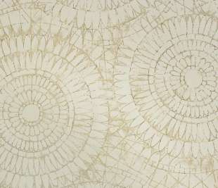 65573_NotreDame_Vanilla_800x800