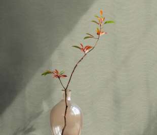 65521_Ripple_Desert_Raumbild_800x800