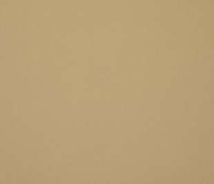 65530_ChalkUni_ChalkBiscuit_Flat_800x800