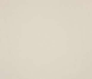 65537_ChalkUni_ChalkBlossom_Flat_800x800