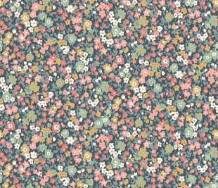 CASADECO_89216424_web